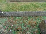 image of grave number 583654